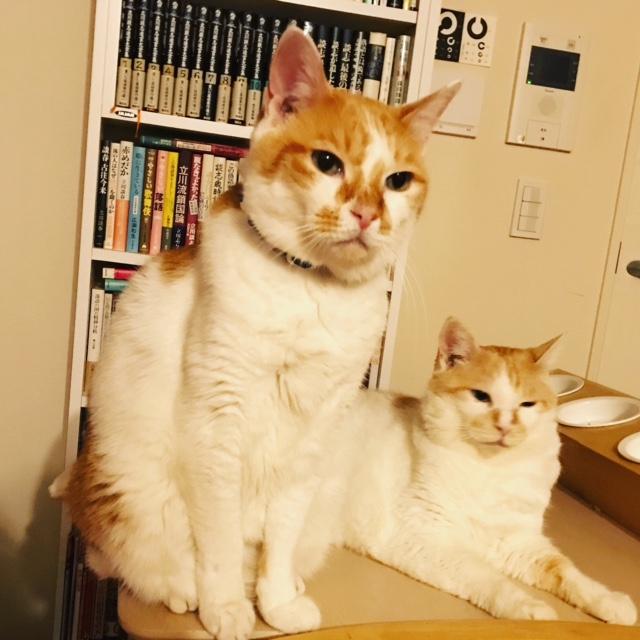 No.1282 ???? | ????????????