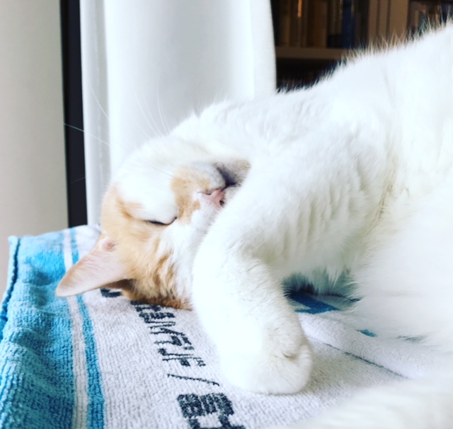 No.1284 ??????? | ????????????